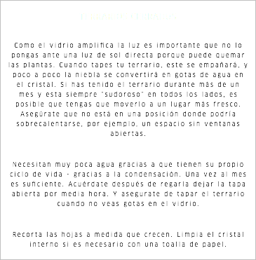 TERRARIOS CERRADOS Como el vidrio amplifica la luz es importante que no lo pongas ante una luz de sol directa porque puede quemar las plantas. Cuando tapes tu terrario, este se empañará, y poco a poco la niebla se convertirá en gotas de agua en el cristal. Si has tenido el terrario durante más de un mes y esta siempre "sudoroso" en todos los lados, es posible que tengas que moverlo a un lugar más fresco. Asegúrate que no está en una posición donde podría sobrecalentarse, por ejemplo, un espacio sin ventanas abiertas. Necesitan muy poca agua gracias a que tienen su propio ciclo de vida - gracias a la condensación. Una vez al mes es suficiente. Acuérdate después de regarla dejar la tapa abierta por media hora. Y asegurate de tapar el terrario cuando no veas gotas en el vidrio. Recorta las hojas a medida que crecen. Limpia el cristal interno si es necesario con una toalla de papel.