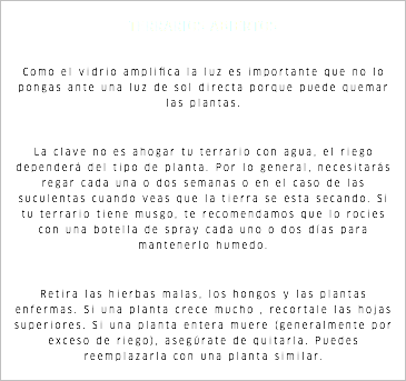 TERRARIOS ABIERTOS Como el vidrio amplifica la luz es importante que no lo pongas ante una luz de sol directa porque puede quemar las plantas. La clave no es ahogar tu terrario con agua, el riego dependerá del tipo de planta. Por lo general, necesitarás regar cada una o dos semanas o en el caso de las suculentas cuando veas que la tierra se esta secando. Si tu terrario tiene musgo, te recomendamos que lo rocies con una botella de spray cada uno o dos días para mantenerlo humedo. Retira las hierbas malas, los hongos y las plantas enfermas. Si una planta crece mucho , recortale las hojas superiores. Si una planta entera muere (generalmente por exceso de riego), asegúrate de quitarla. Puedes reemplazarla con una planta similar.