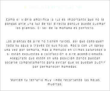 TERRARIOS DE PLANTAS DE AIRES Como el vidrio amplifica la luz es importante que no lo pongas ante una luz de sol directa porque puede quemar las plantas. El sol de la mañana es perfecto. Las plantas de aire no tienen raíces, así que consiguen toda su agua a través de sus hojas. Rocía con un spray una vez por semana, más a menudo en climas calurosos o si están expuestos a calefacción o aire acondicionado. Asegúrate que estén en una posición donde puedan secarse completamente para evitar que se puedan pudrir por permanecer húmedas. Mantén tu terrario muy lindo recortando las hojas muertas.