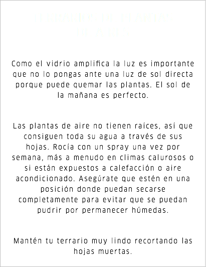 TERRARIOS DE PLANTAS DE AIRES Como el vidrio amplifica la luz es importante que no lo pongas ante una luz de sol directa porque puede quemar las plantas. El sol de la mañana es perfecto. Las plantas de aire no tienen raíces, así que consiguen toda su agua a través de sus hojas. Rocía con un spray una vez por semana, más a menudo en climas calurosos o si están expuestos a calefacción o aire acondicionado. Asegúrate que estén en una posición donde puedan secarse completamente para evitar que se puedan pudrir por permanecer húmedas. Mantén tu terrario muy lindo recortando las hojas muertas.